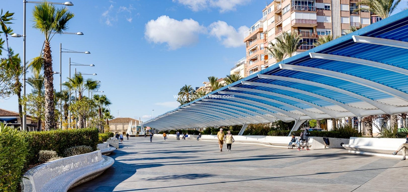 Sale - Appartement - Torrevieja - Antonio Machado