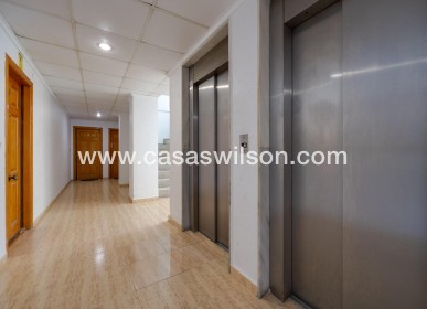 Venta - Apartamento - Torrevieja - Estacion De Autobuses