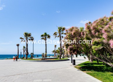 Venta - Apartamento - Torrevieja - Estacion De Autobuses