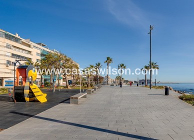 Venta - Apartamento - Torrevieja - Estacion De Autobuses
