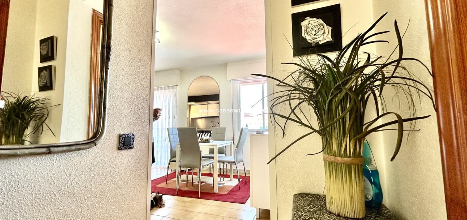 Sale - Apartment - Torrevieja - Costa Blanca