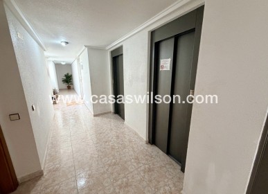 Sale - Apartment - Torrevieja - Costa Blanca