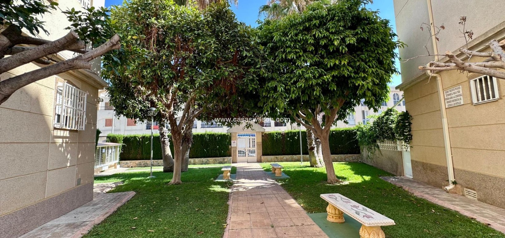 Sale - Apartment - Torrevieja - Habaneras