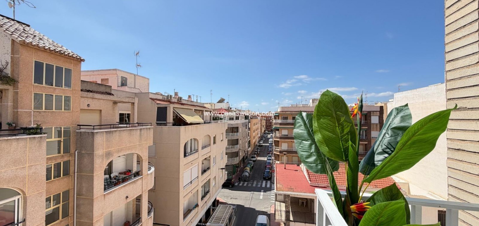 Sale - Appartement - Torrevieja - Estacion De Autobuses