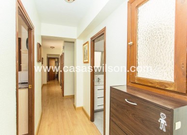 Bestaande bouw - Appartement - Torrevieja - Playa del Cura