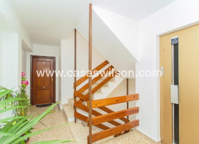 Bestaande bouw - Appartement - Torrevieja - Playa del Cura