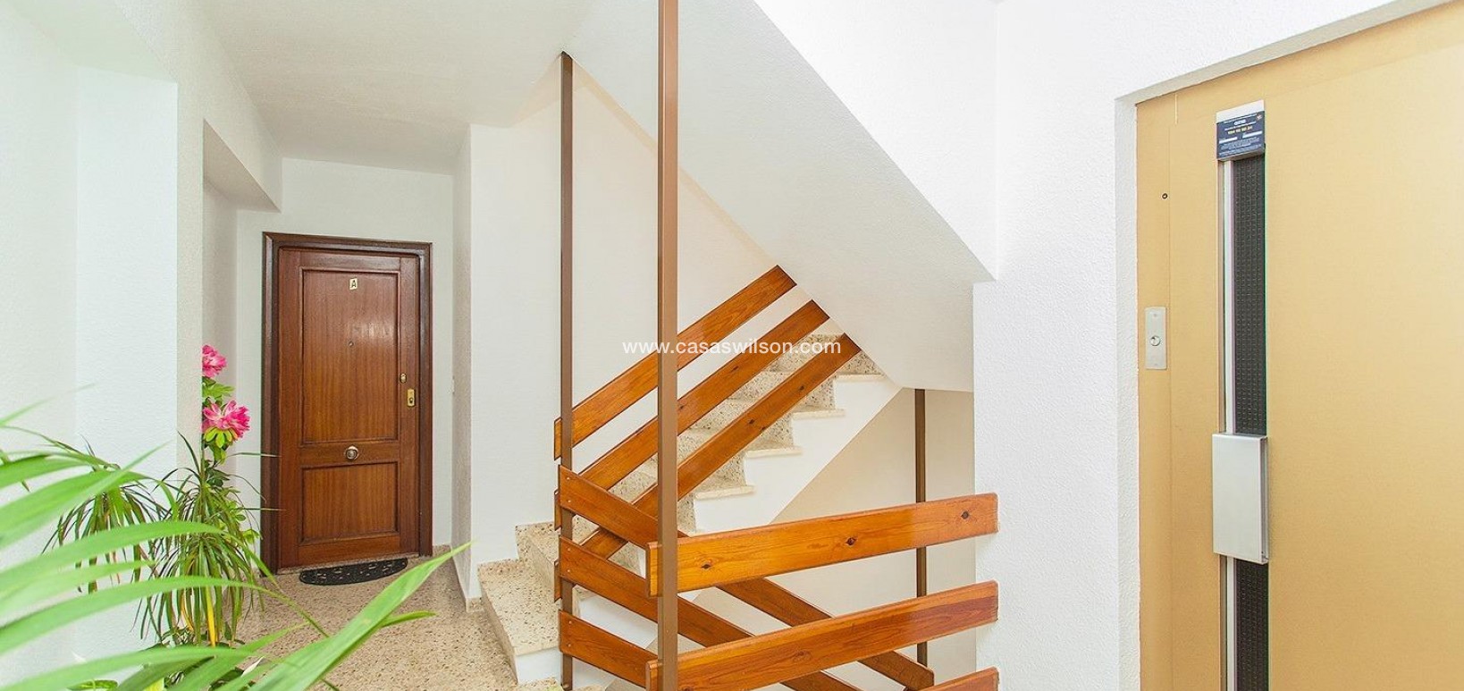 Bestaande bouw - Appartement - Torrevieja - Playa del Cura