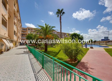 Sale - Apartment - Torrevieja - Centro