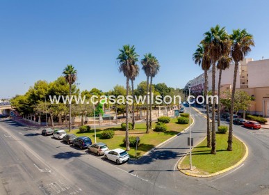 Sale - Apartment - Torrevieja - Centro