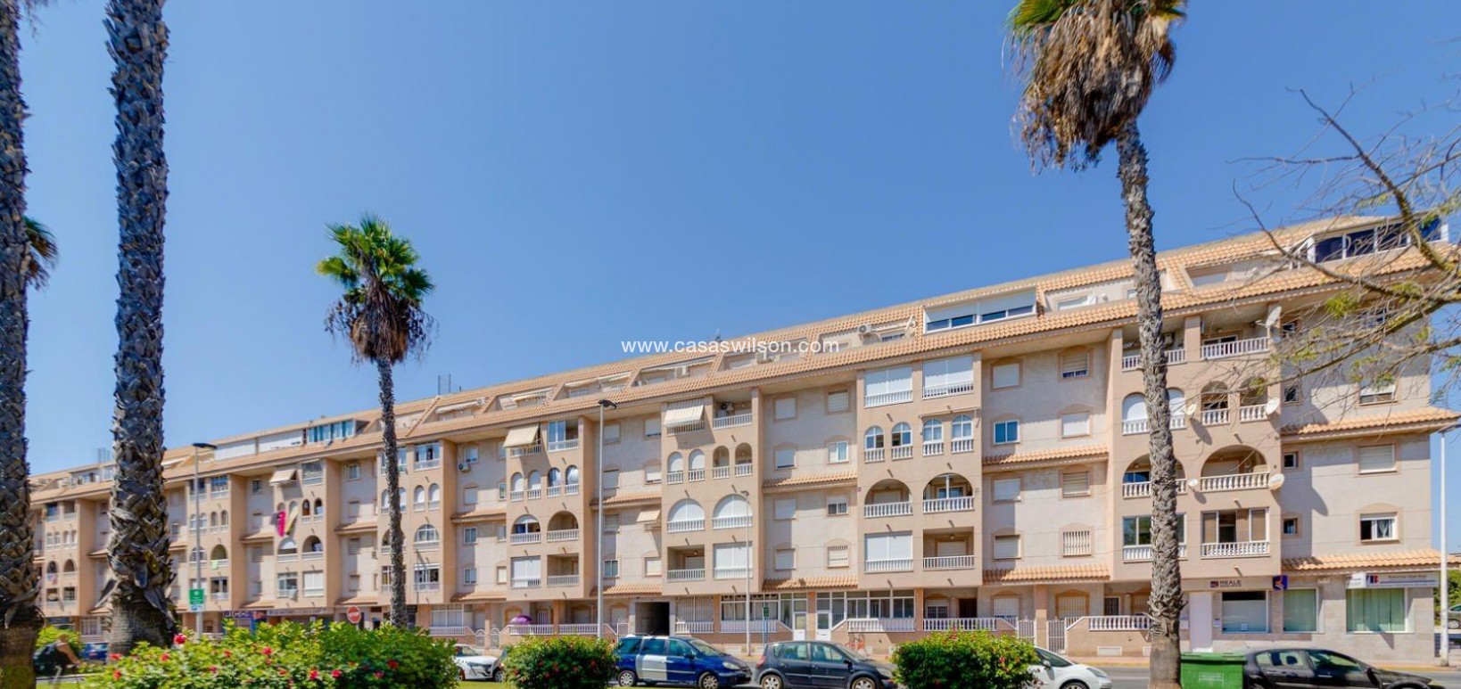 Sale - Apartment - Torrevieja - Centro
