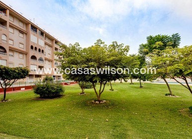 Sale - Apartment - Torrevieja - Centro