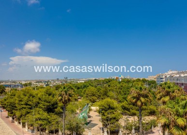 Sale - Apartment - Torrevieja - Centro