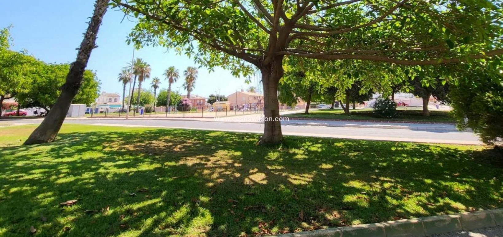 Sale - Appartement - Torrevieja - Playa de los Locos