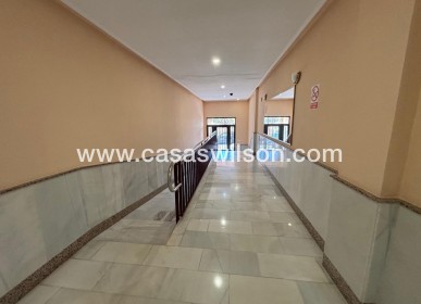Bestaande bouw - Appartement - Torrevieja - Playa del Cura
