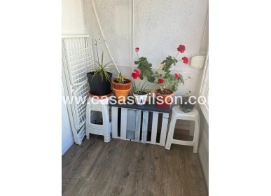 Sale - Appartement - Torrevieja - Centro