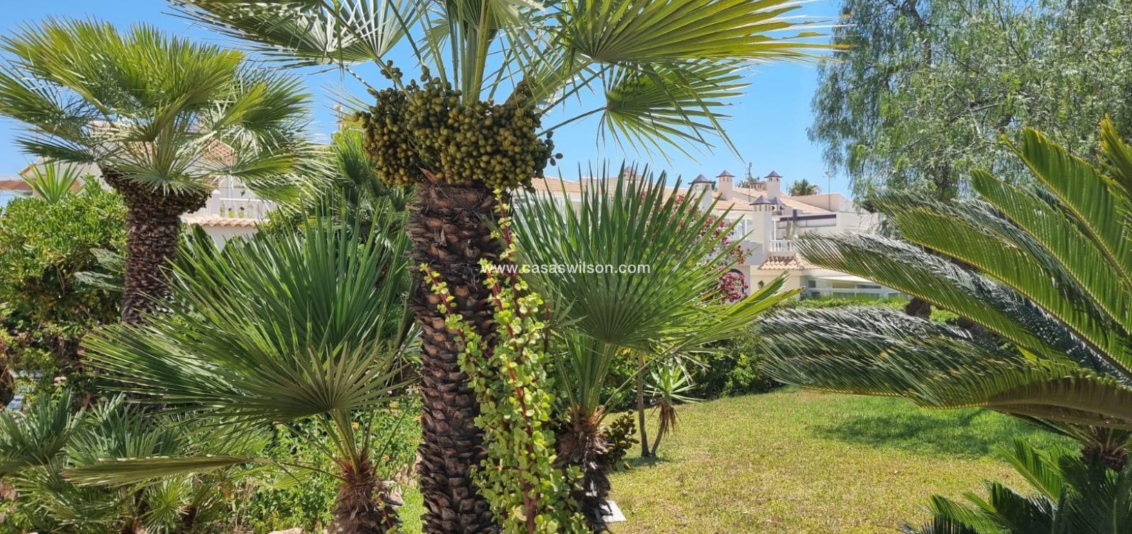 Sale - Appartement - Torrevieja - Los Balcones - Los Altos del Edén