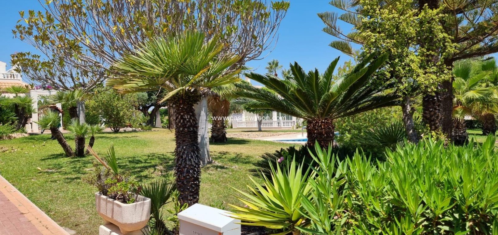 Sale - Appartement - Torrevieja - Los Balcones - Los Altos del Edén