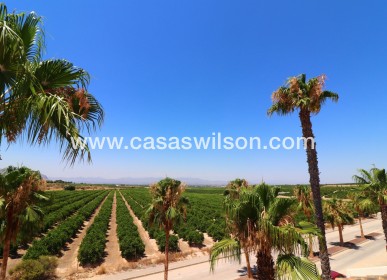 Sale - Villa - Algorfa - La Finca Golf