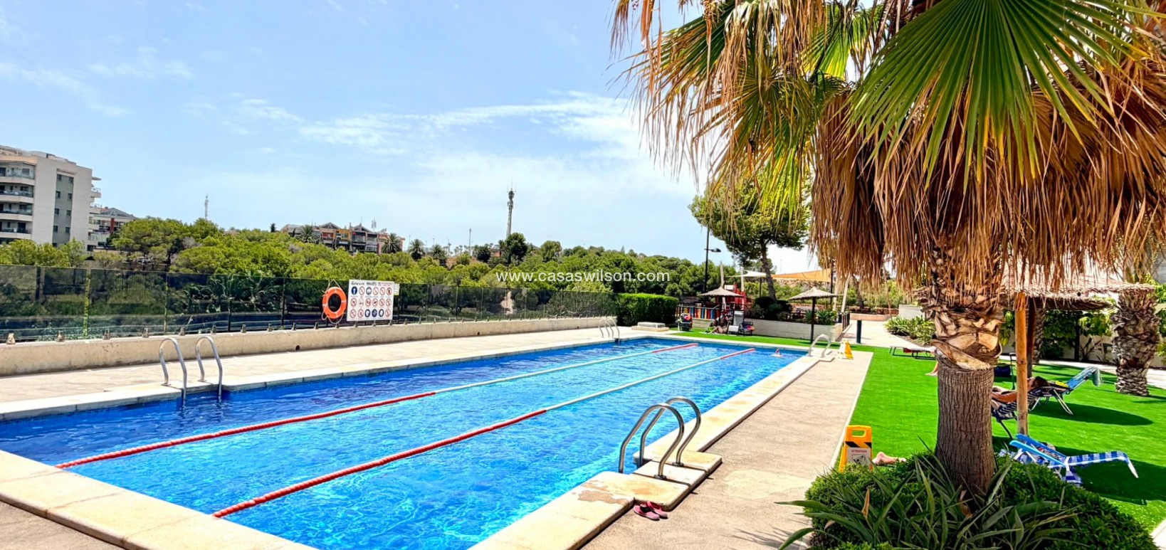 Venta - Apartamento - Orihuela Costa - La Zenia