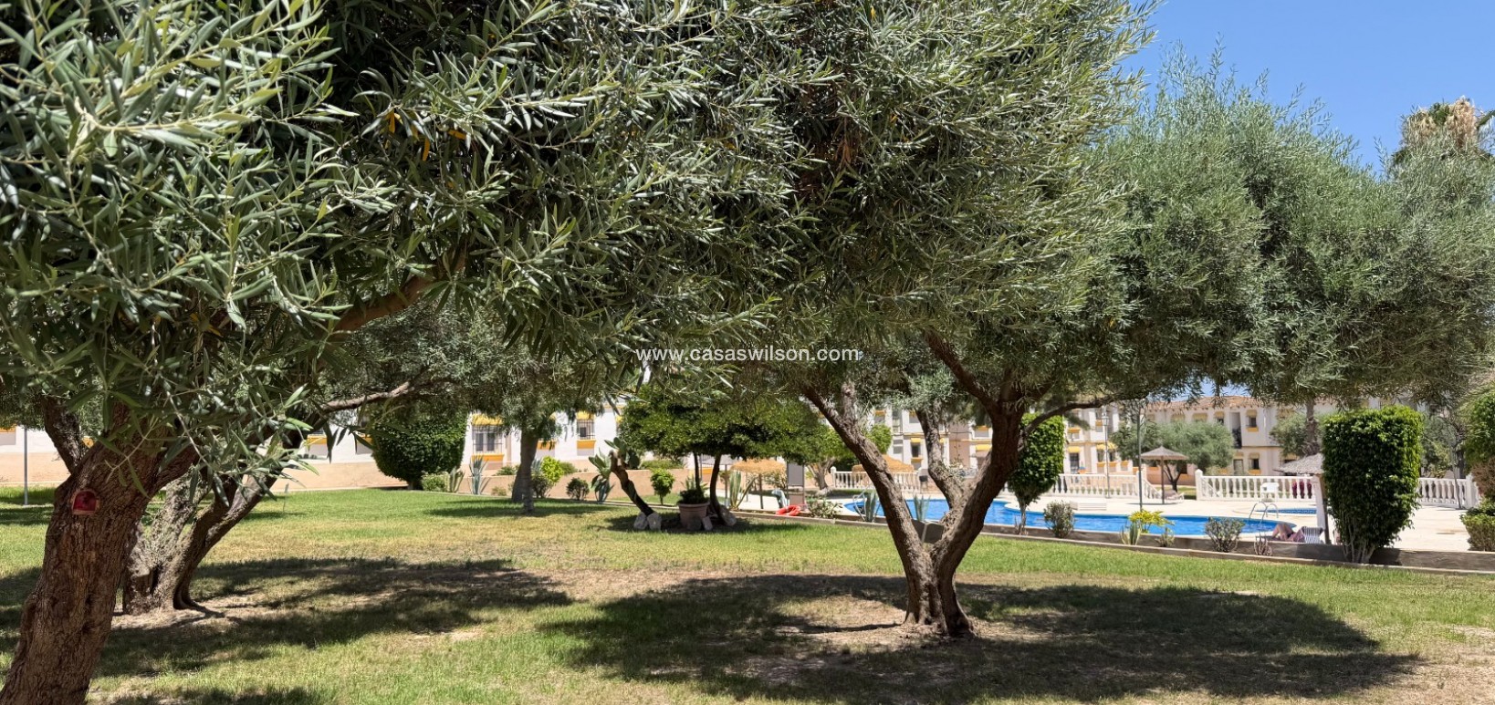 Sale - Appartement - Orihuela Costa - Blue Lagoon
