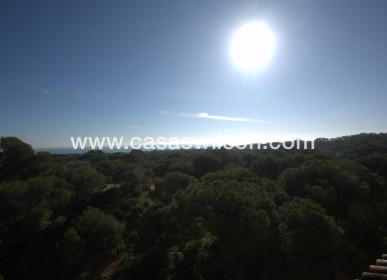 New Build - Appartement - Guardamar del Segura - Pueblo