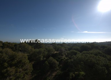 New Build - Appartement - Guardamar del Segura - Pueblo