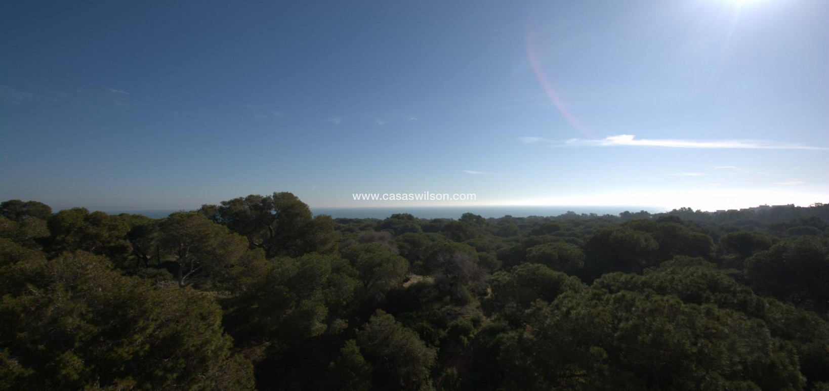 New Build - Appartement - Guardamar del Segura - Pueblo