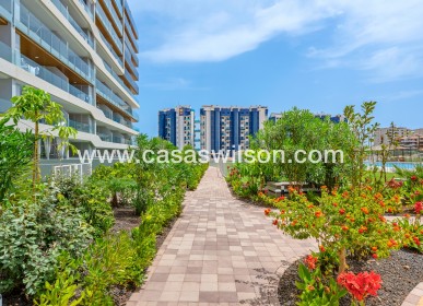 Sale - Apartment - Orihuela Costa - Punta Prima