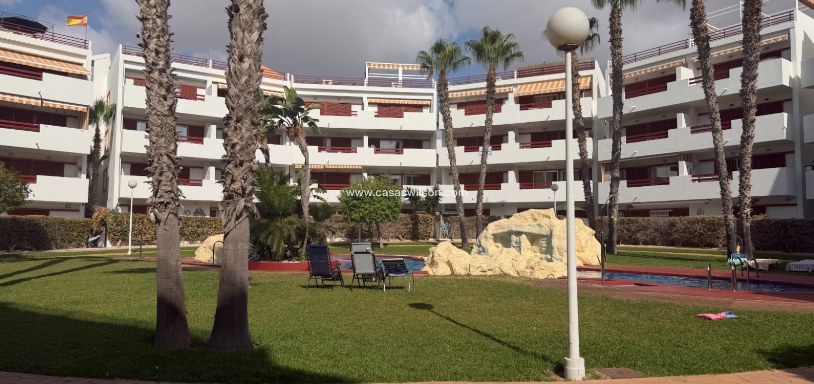 Sale - Appartement - Orihuela - Playa Flamenca