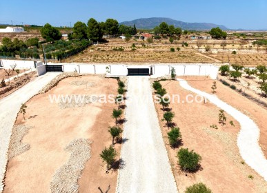Venta - Chalet - Pinoso