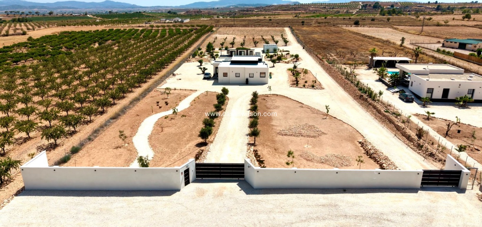 Venta - Chalet - Pinoso