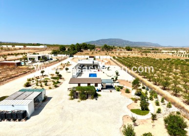 Venta - Chalet - Pinoso