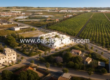 New Build - Bungalow - Pilar de la Horadada - pueblo