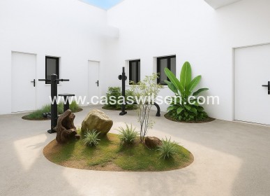 New Build - Appartement - Torrevieja - pueblo