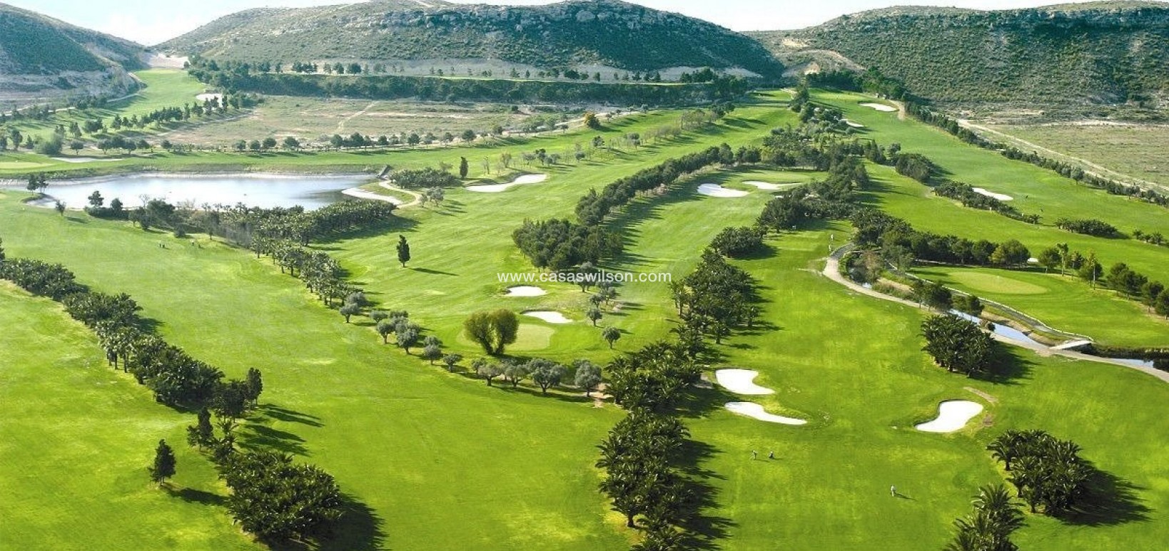 New Build - Villa - BAÑOS Y MENDIGO - Altaona Golf
