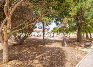Bestaande bouw - Appartement - Torrevieja
