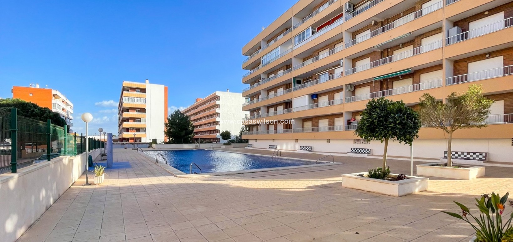 Sale - Appartement - Torrevieja - Punta prima