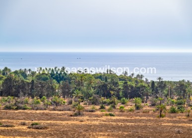 Sale - Appartement - Torrevieja - Punta prima