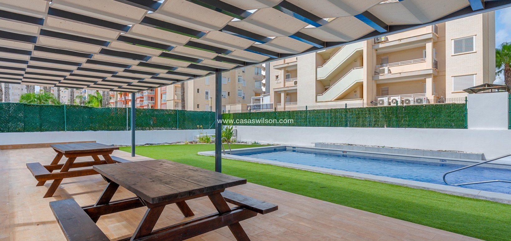 Sale - Appartement - Guardamar del Segura - Guardamar