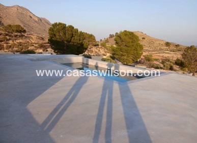 New Build - Villa - Pinoso - Casas Pastor