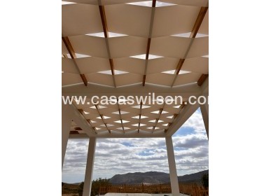 New Build - Villa - Pinoso - Casas Pastor