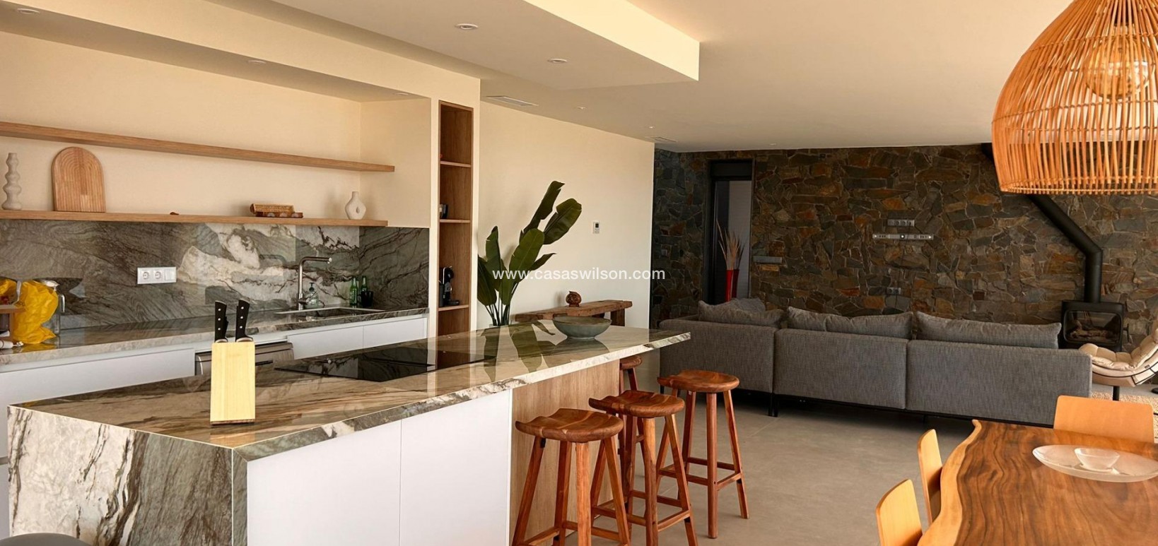New Build - Villa - Pinoso - Casas Pastor