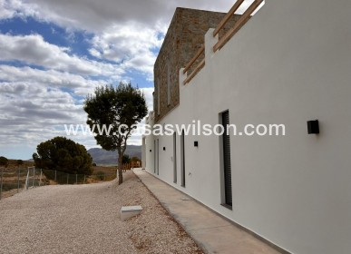 New Build - Villa - Pinoso - Casas Pastor