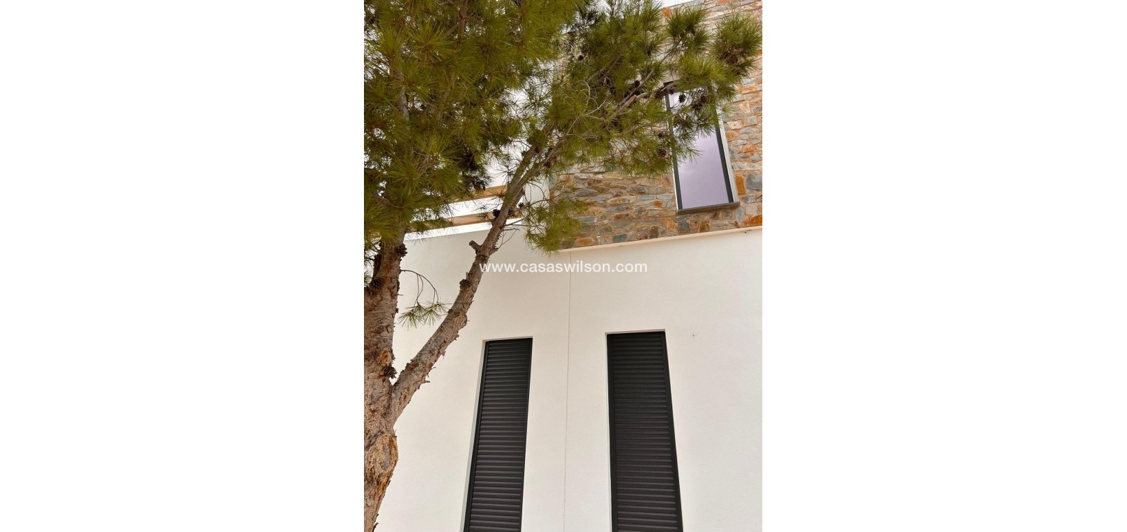 New Build - Villa - Pinoso - Casas Pastor