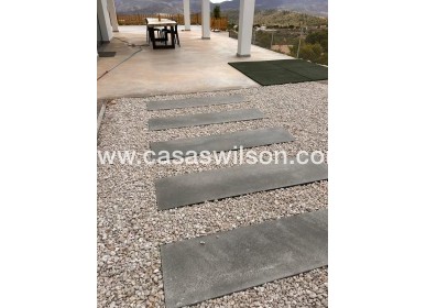 New Build - Villa - Pinoso - Casas Pastor