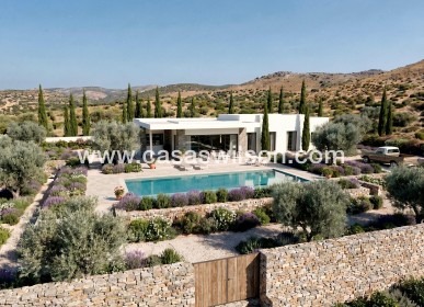 New Build - Villa - Pinoso - Casas Pastor