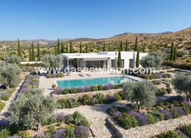 New Build - Villa - Pinoso - Casas Pastor