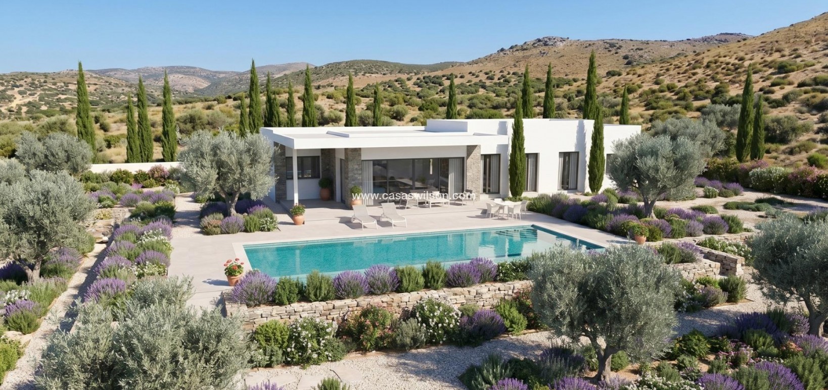 New Build - Villa - Pinoso - Casas Pastor