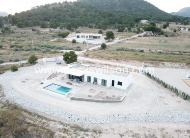 New Build - Villa - Pinoso - Casas Pastor