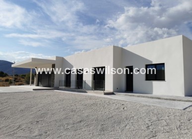 New Build - Villa - Pinoso - Casas Pastor